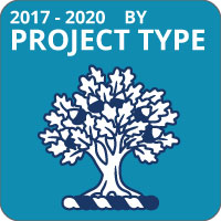 Project Type Button